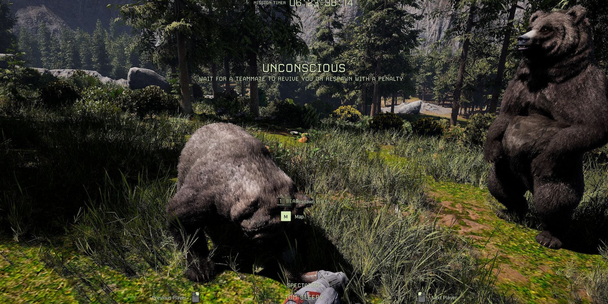 player killed by two bears on unconscious screen