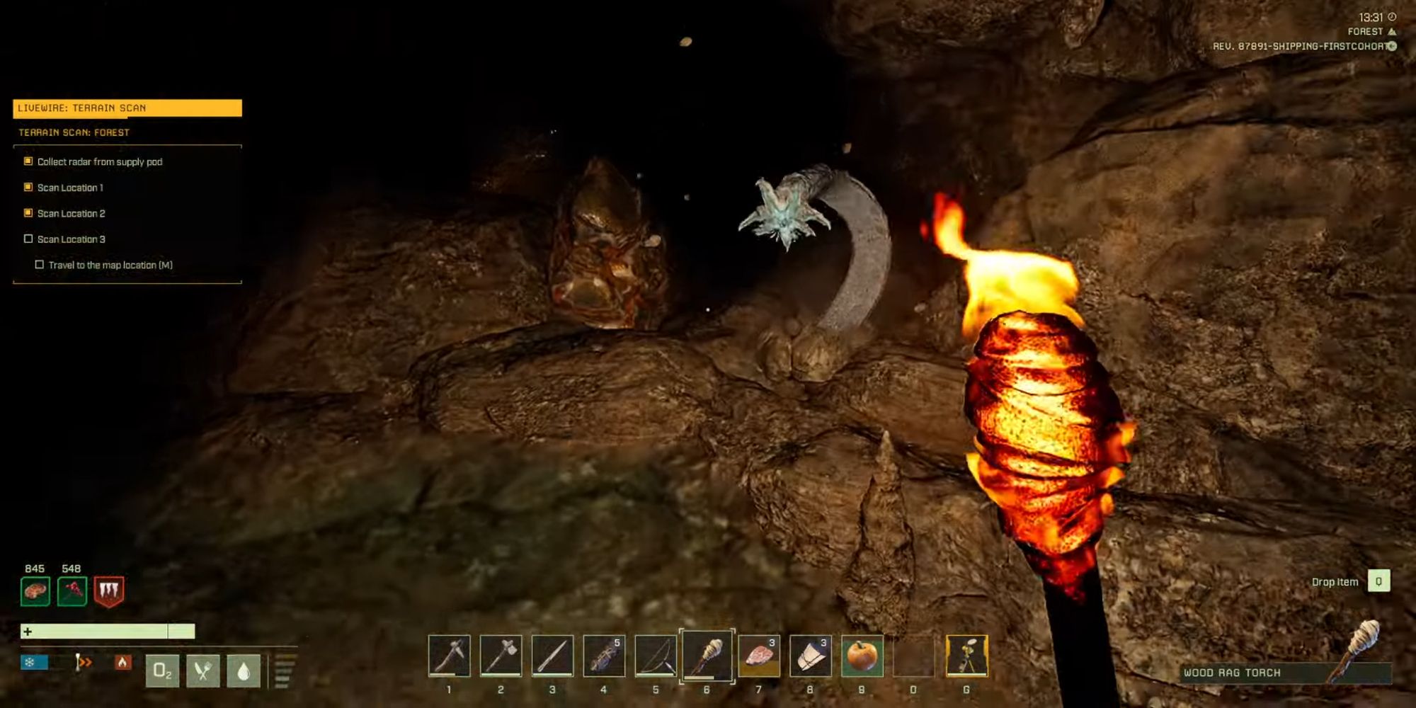 player looking at cave worm
