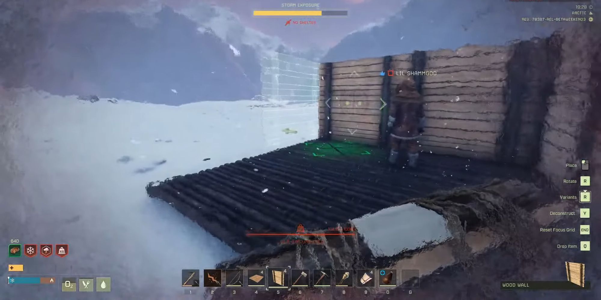 players making a wooden shelter in the arctic biome