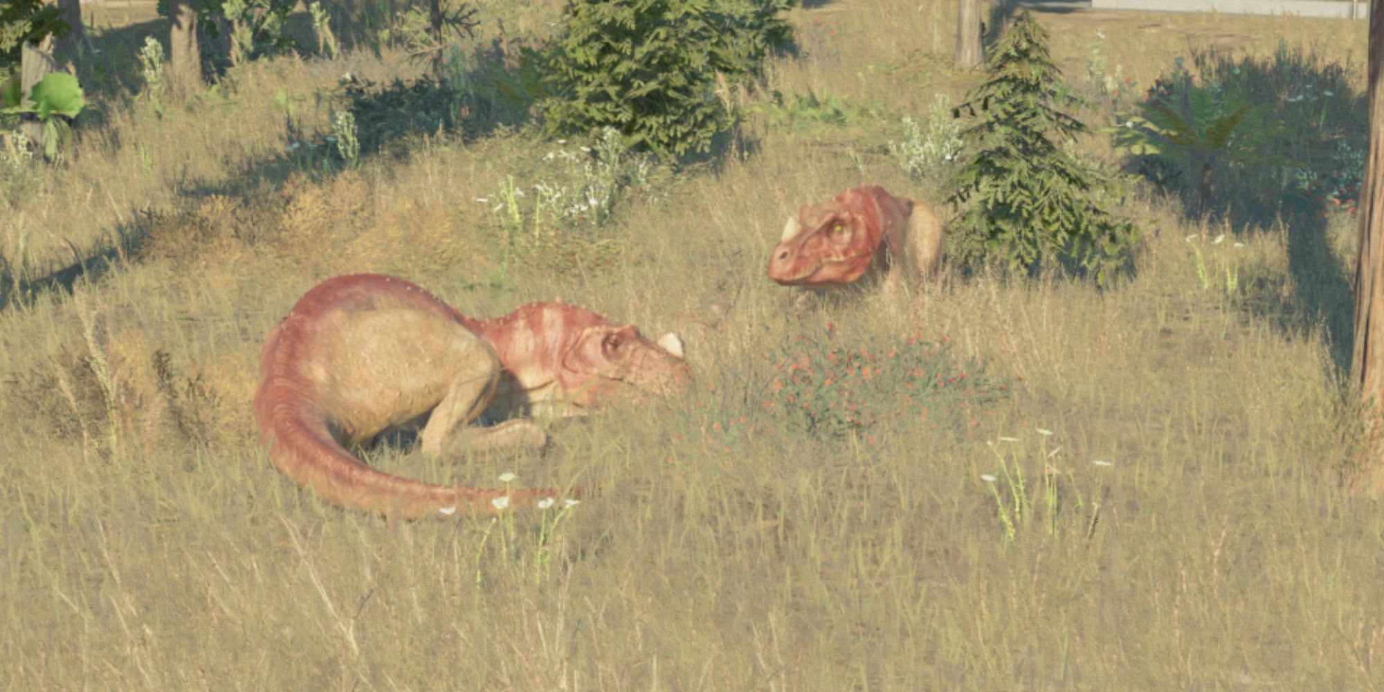 JWE2 JW ceratasaurus sleeping in grass