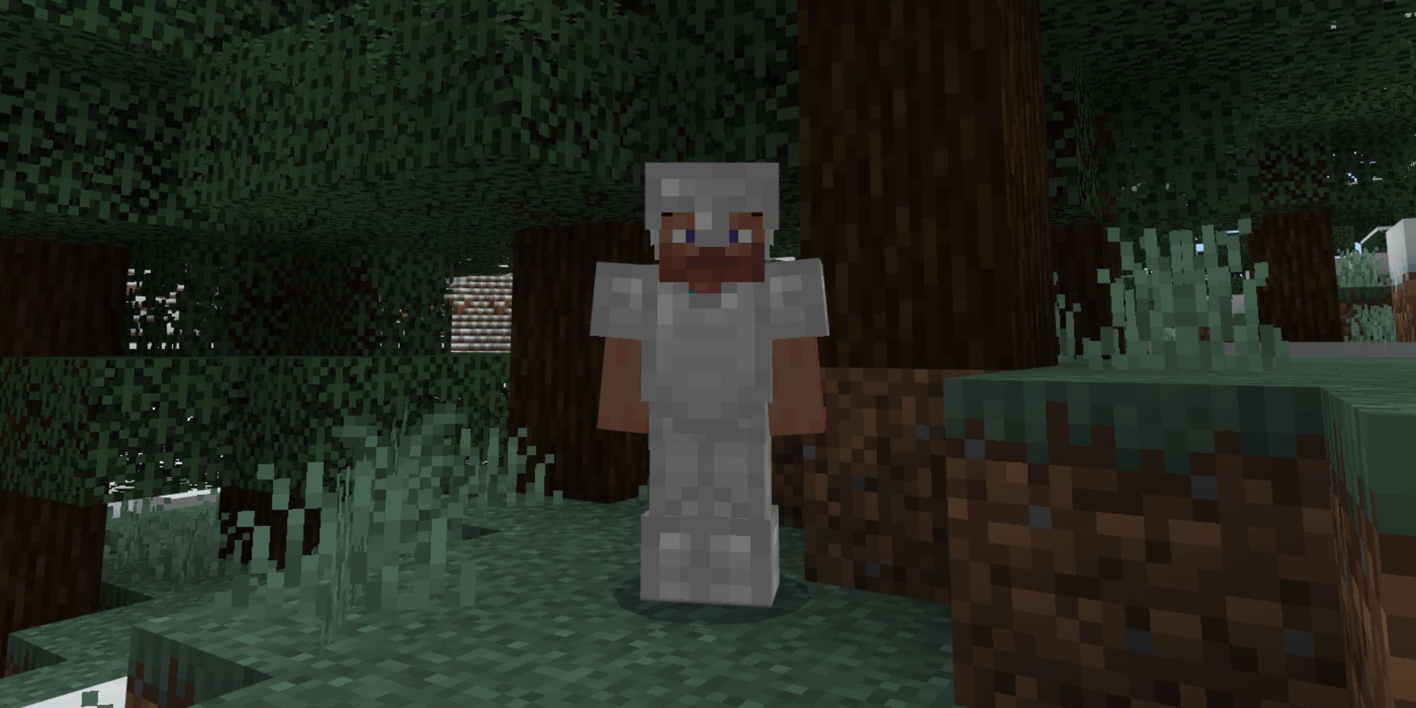 Minecraft Screenshot Of Minecraft Steve In Full Iron Armor Set