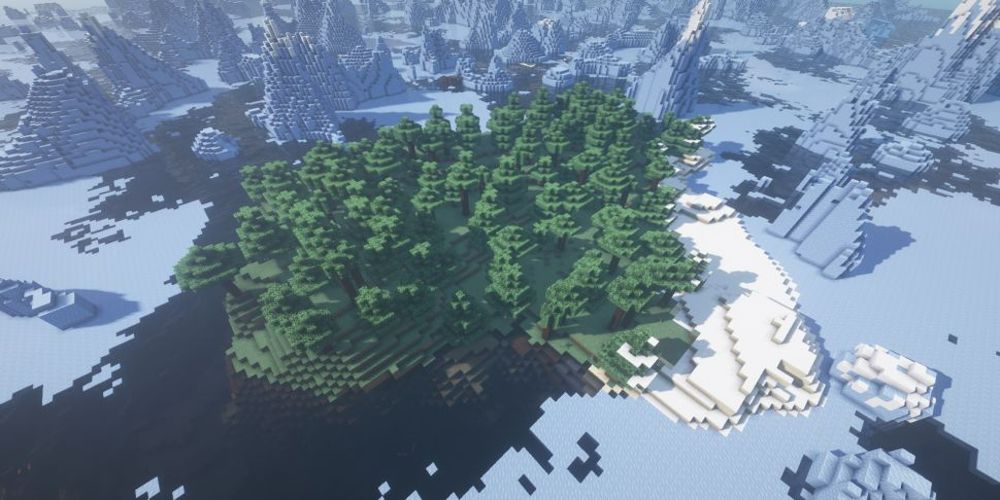 The survival island seed in Minecraft