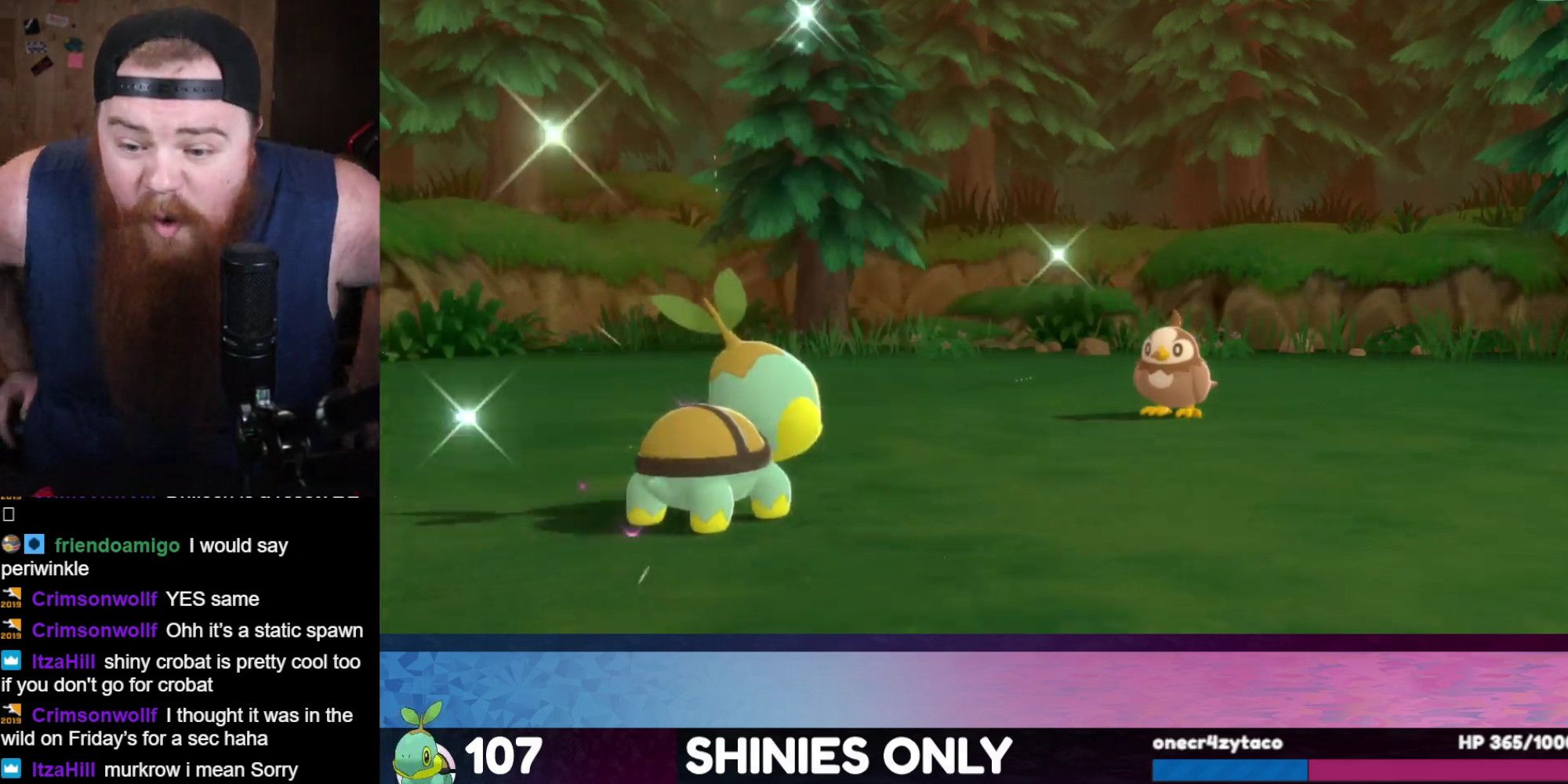 MitchOG jumps out of his chair in excitment at seeing a double shiny Starly and Turtwig