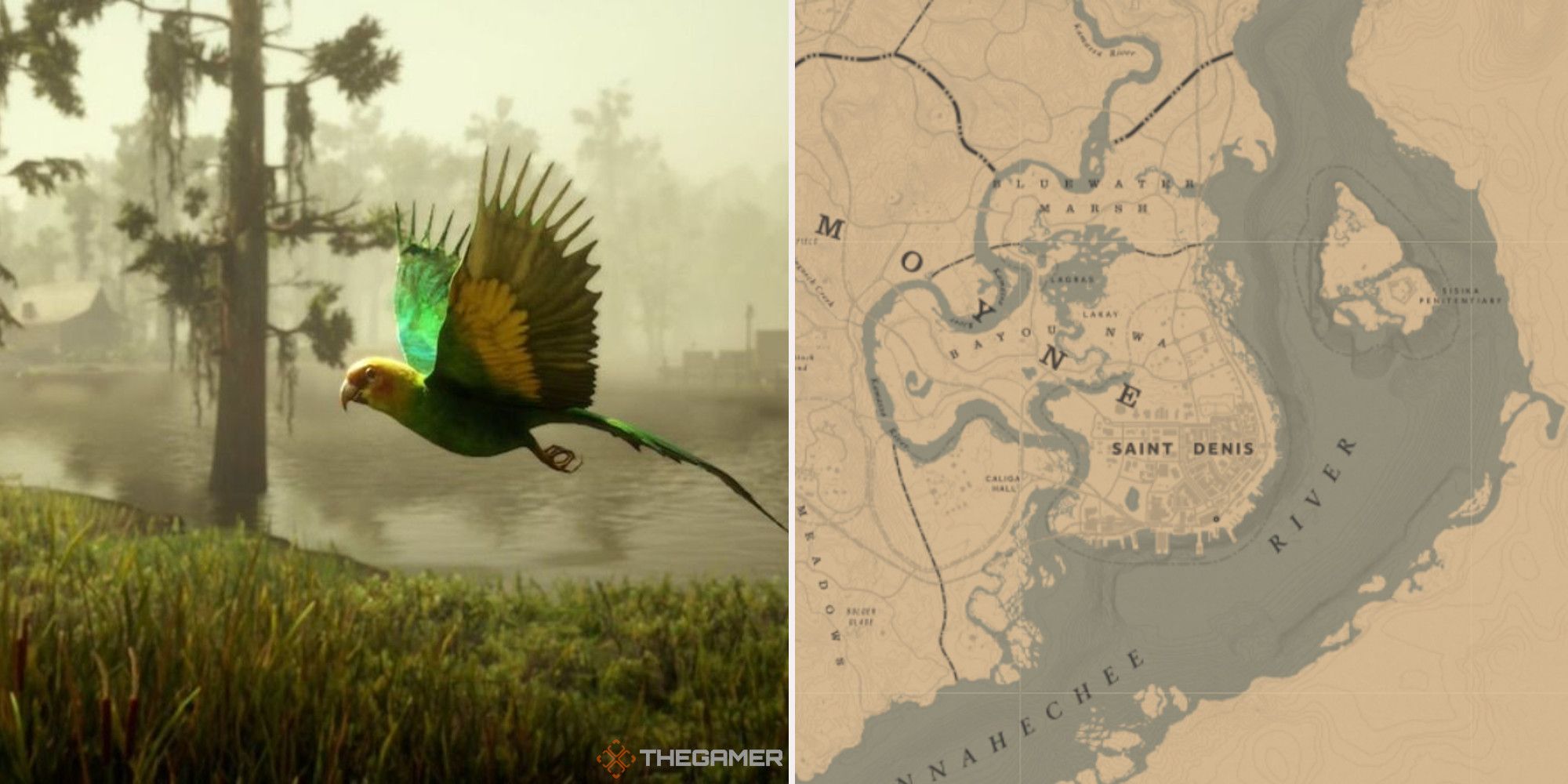 Parakeet locations Red Dead Redemption 2 Online screenrant