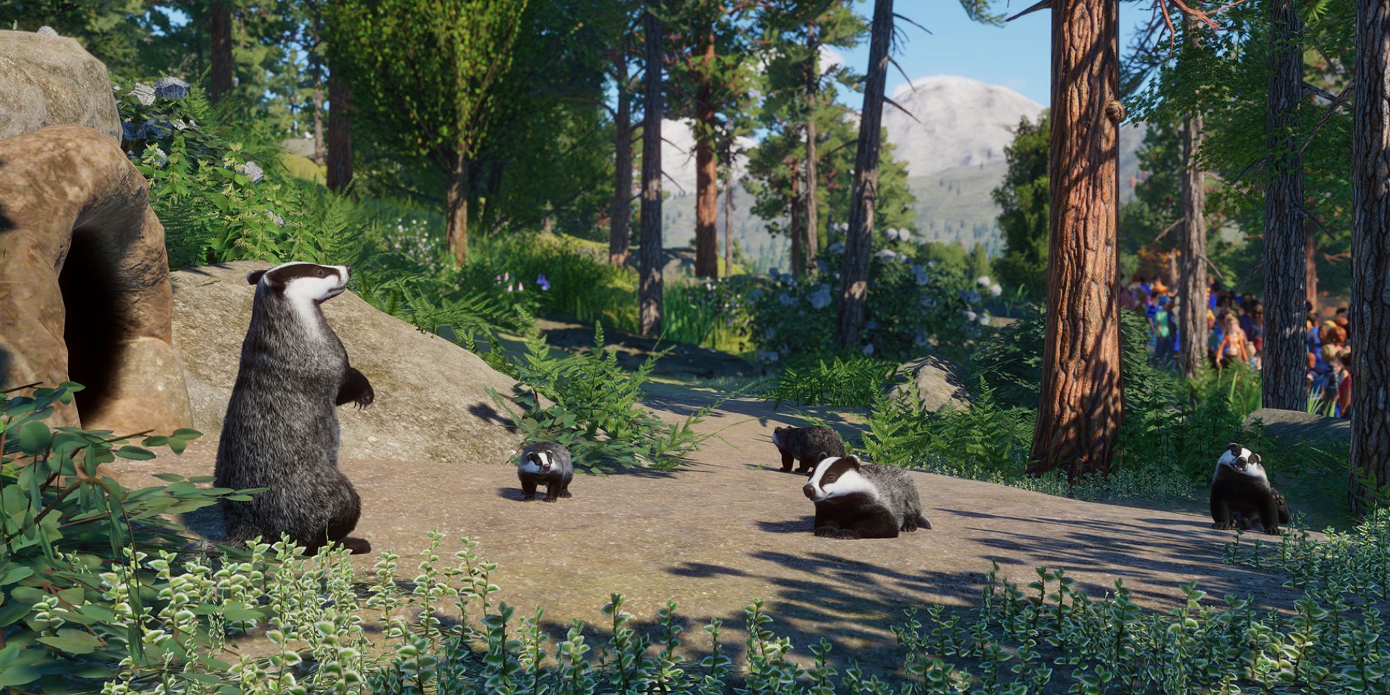 Planet Zoo Europe badgers in set