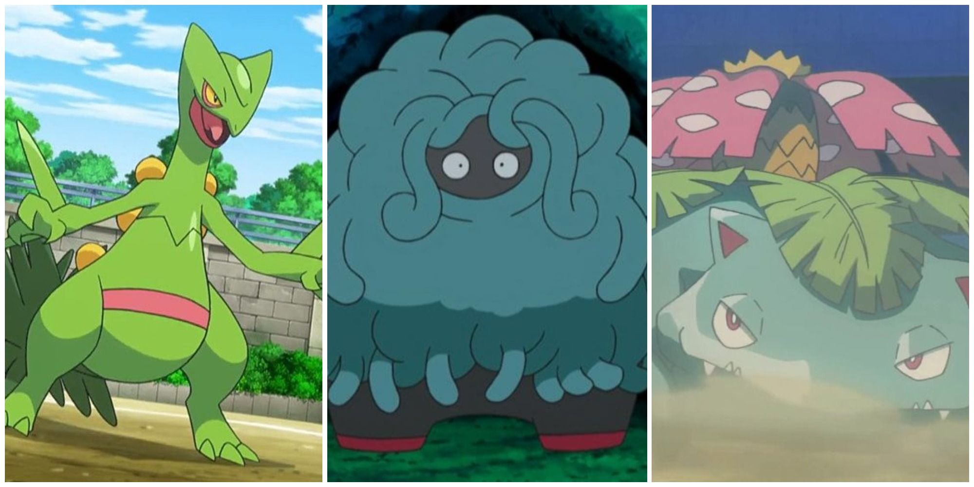 Resultado de imagem para pokemon tipo planta  Grass pokémon, Grass type  pokemon, Pokemon