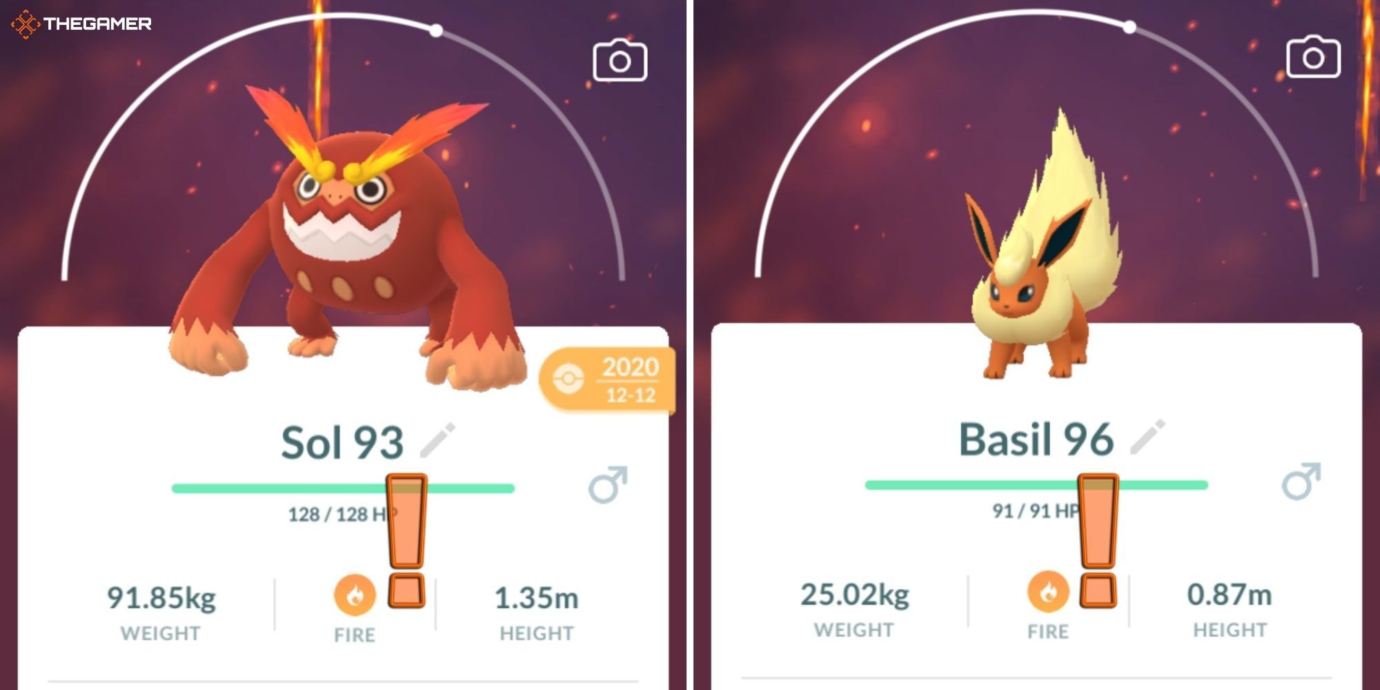 Pokemon GO - Two pokemon who only have the fire type