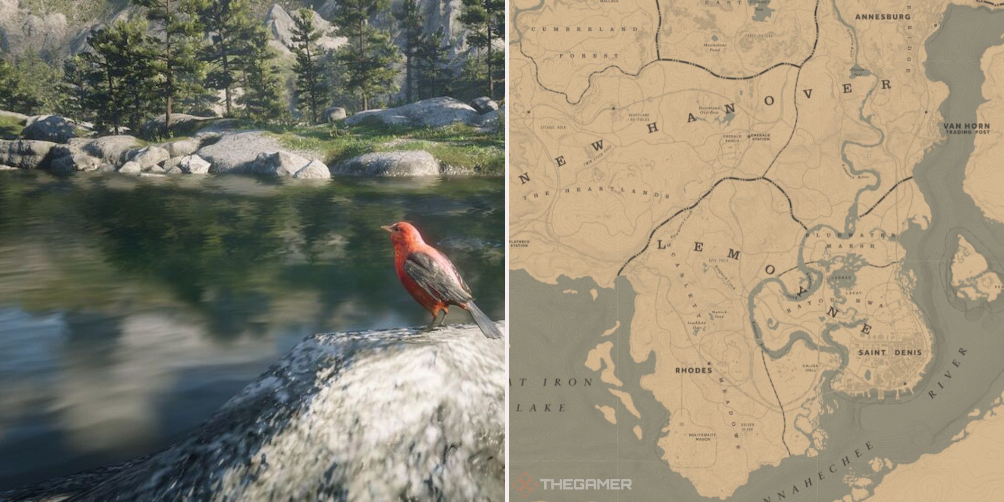 Songbirds locations Red Dead Redemption 2 Online reddeadfandom