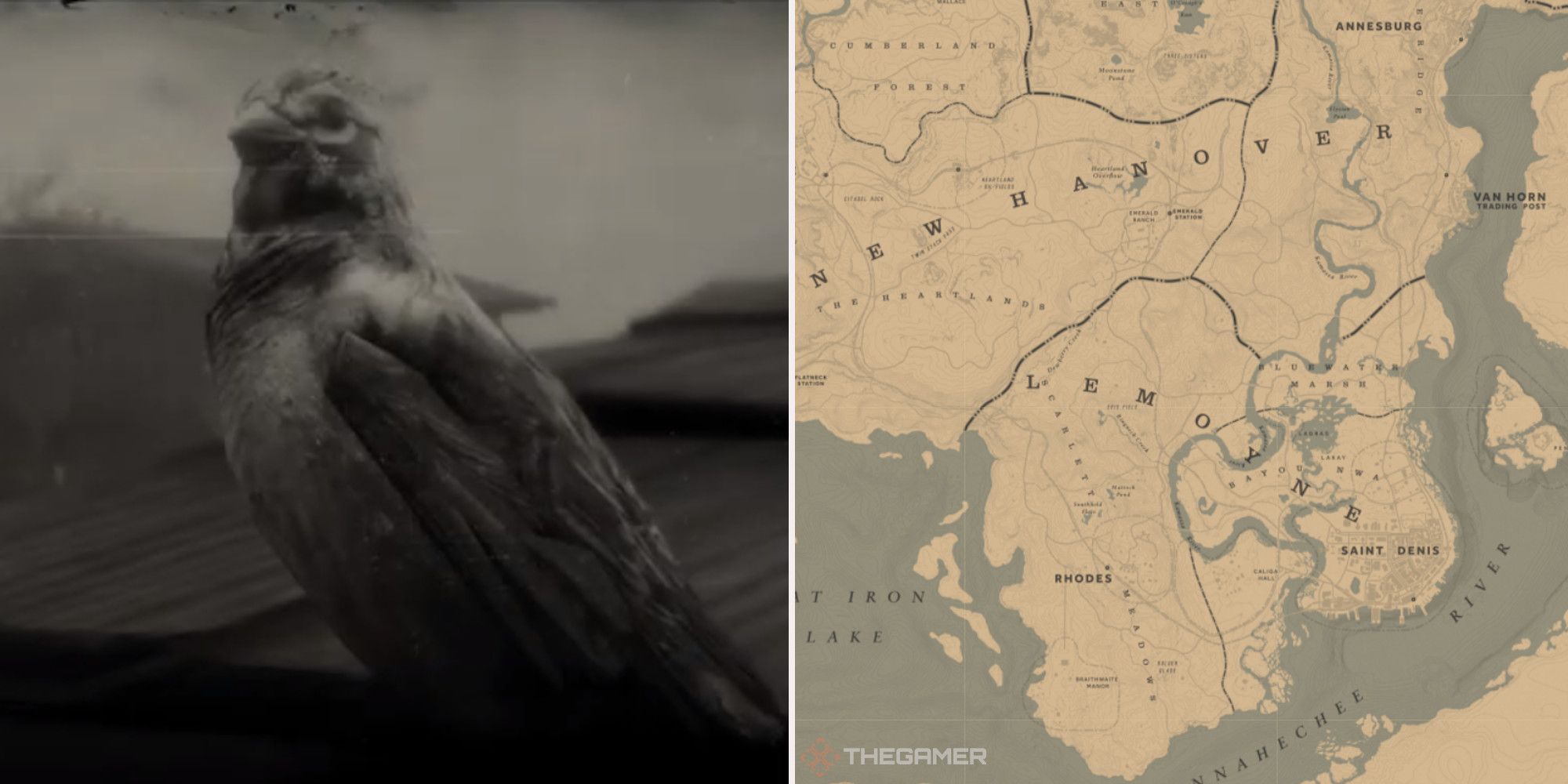 Where To Find Sparrows In Red Dead Online