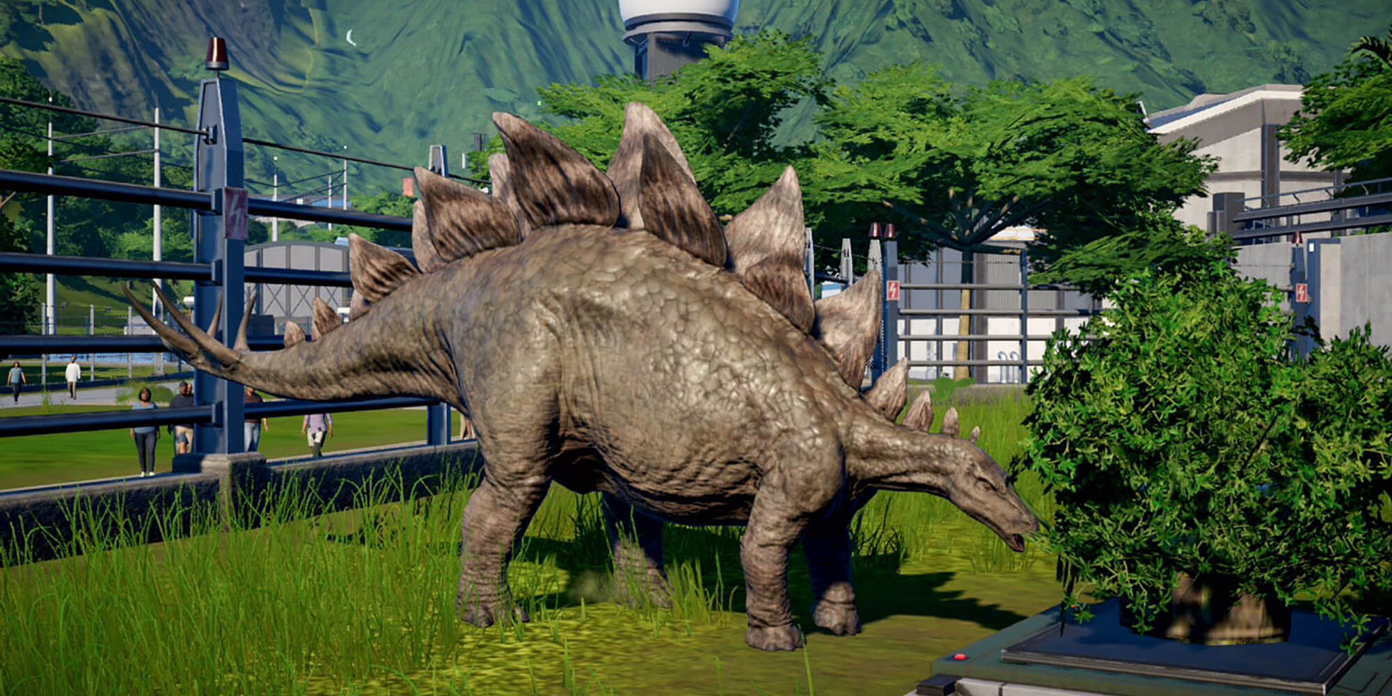 A Stegosaurus Feeding Within A Pen