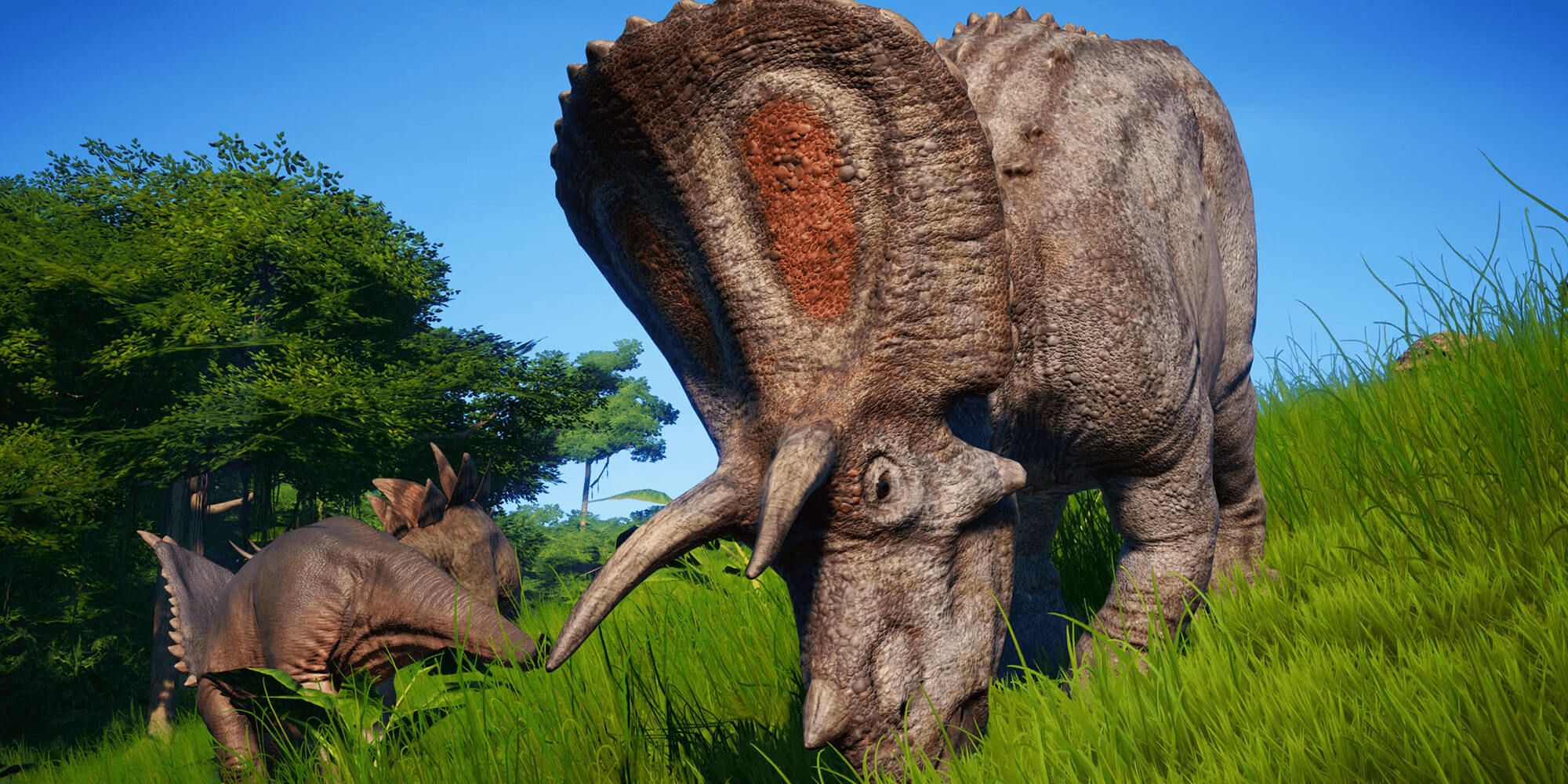 A Triceratops Feeding In The Open