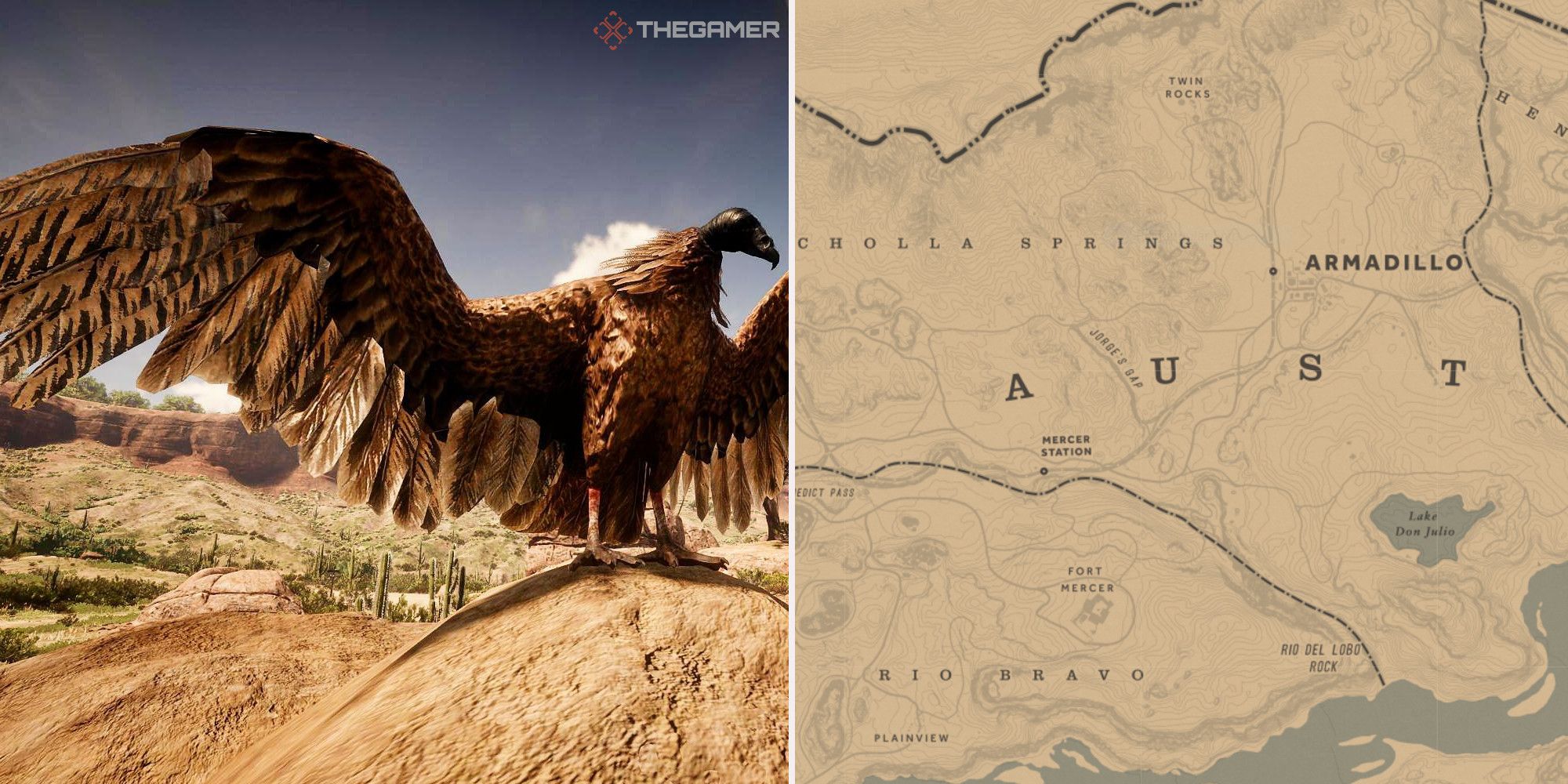 Where Find Vultures In Red Dead Online