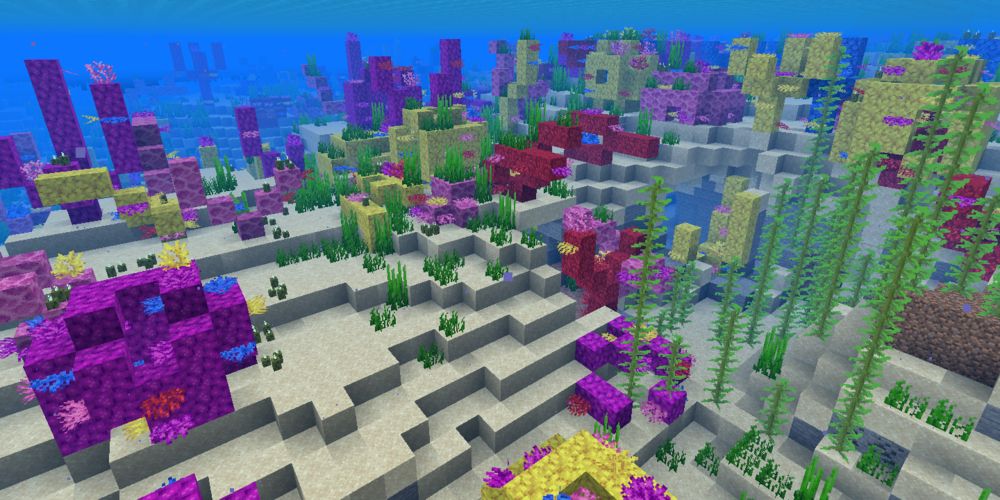The warm ocean in Minecraft
