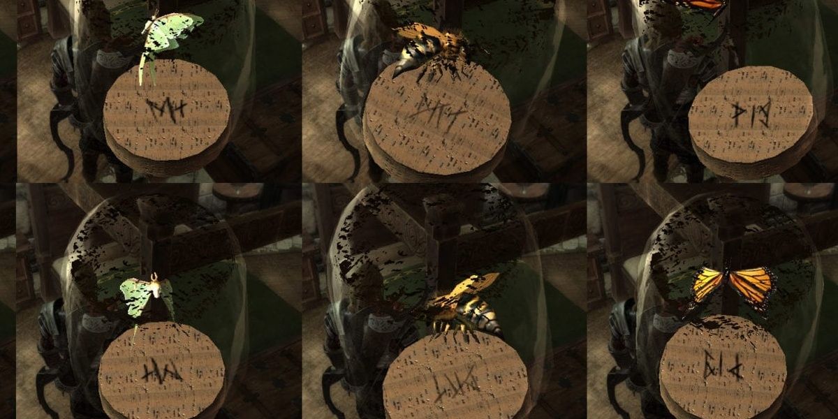 Various bug jars in Skyrim.