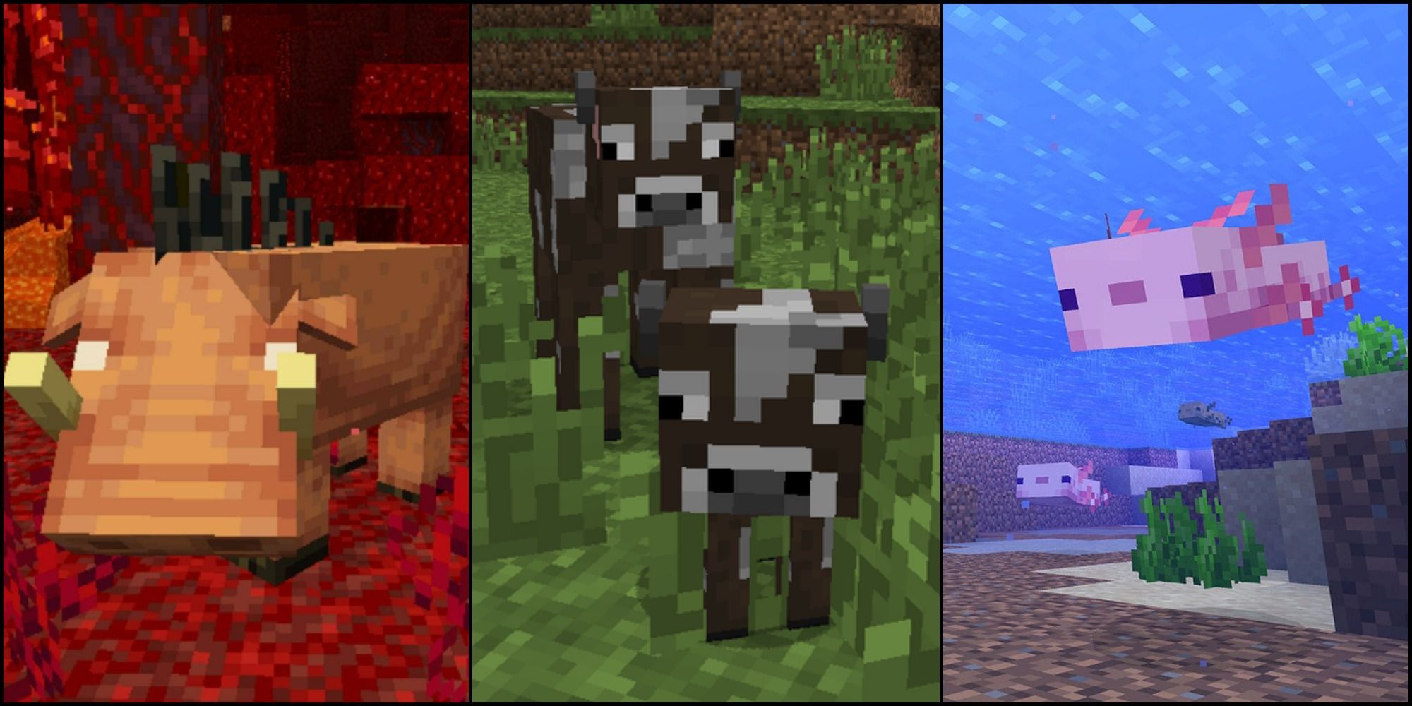 All Nether Mobs In Minecraft, Ranked