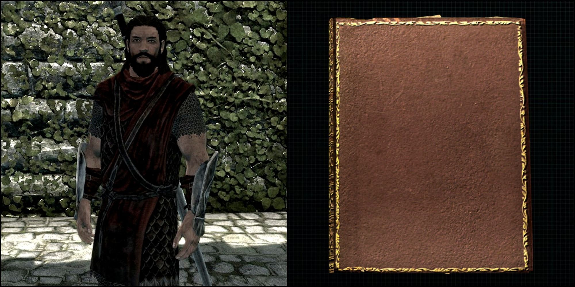 The Mirror book to the right and Captain Aldis to the left Skyrim