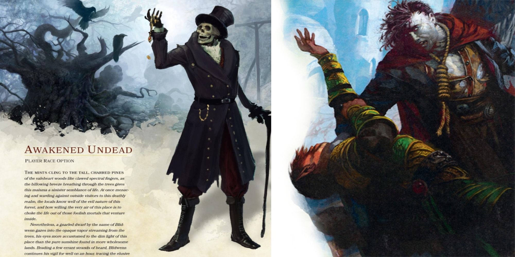 Dungeons & Dragons The Best Races For Beginners, Ranked