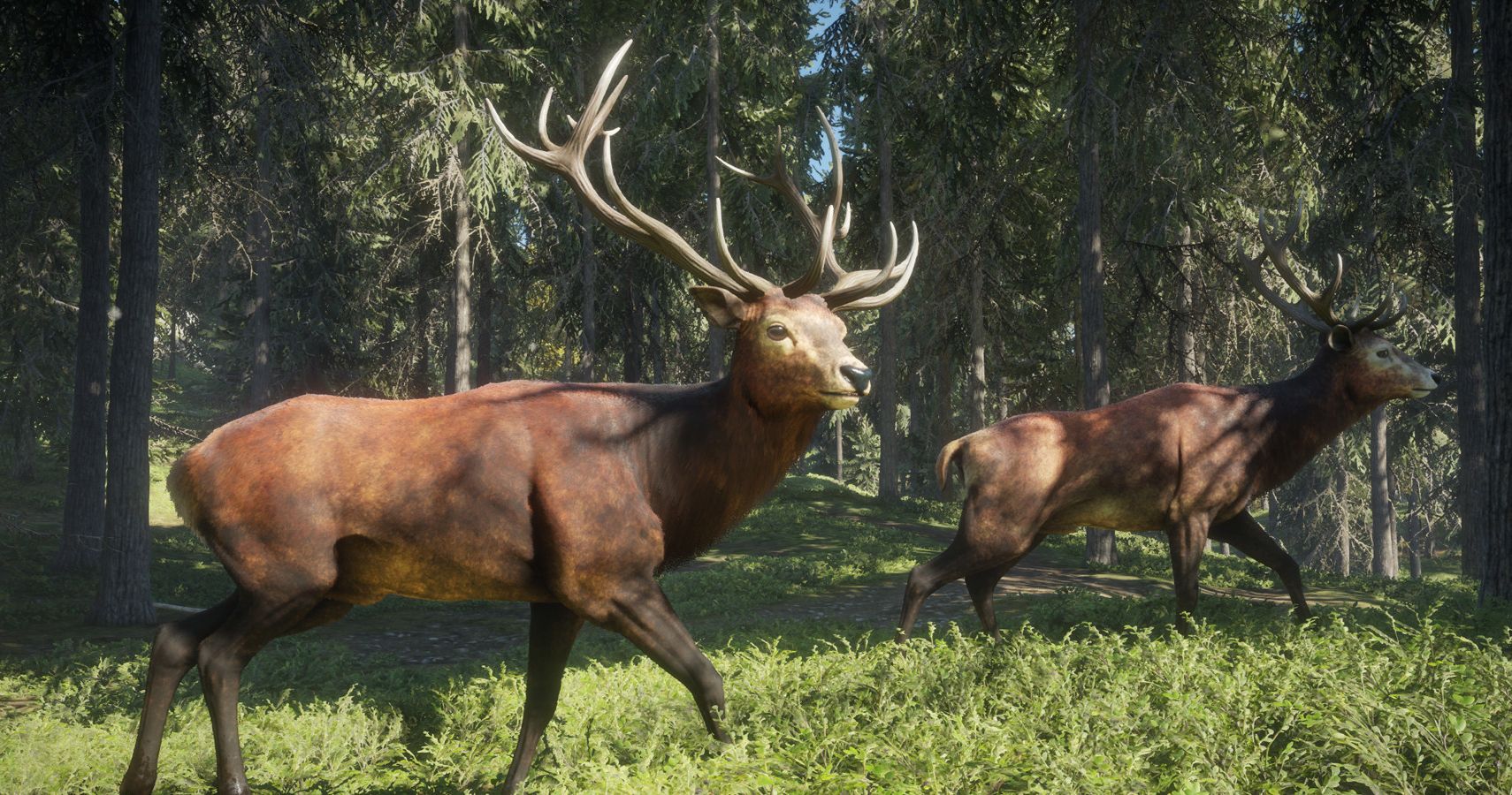 A pair of unsuspecting bucks in theHunter: Call of the Wild