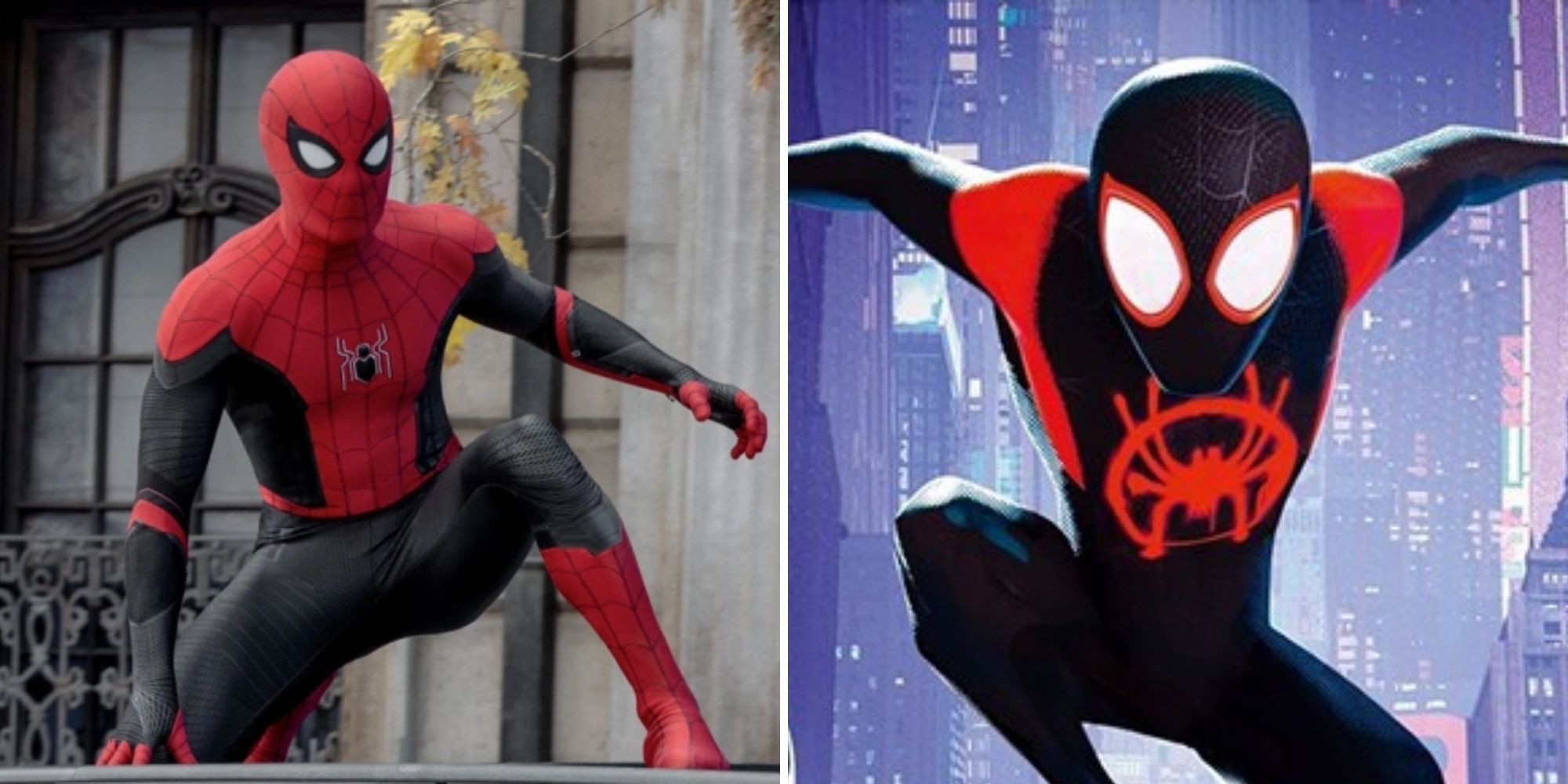 Tom Holland May Appear In Across The Spider-Verse