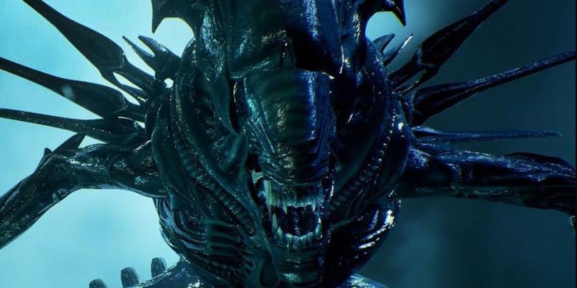 Aliens: The Xenomorph Queen As She Appears In The Aliens Movie