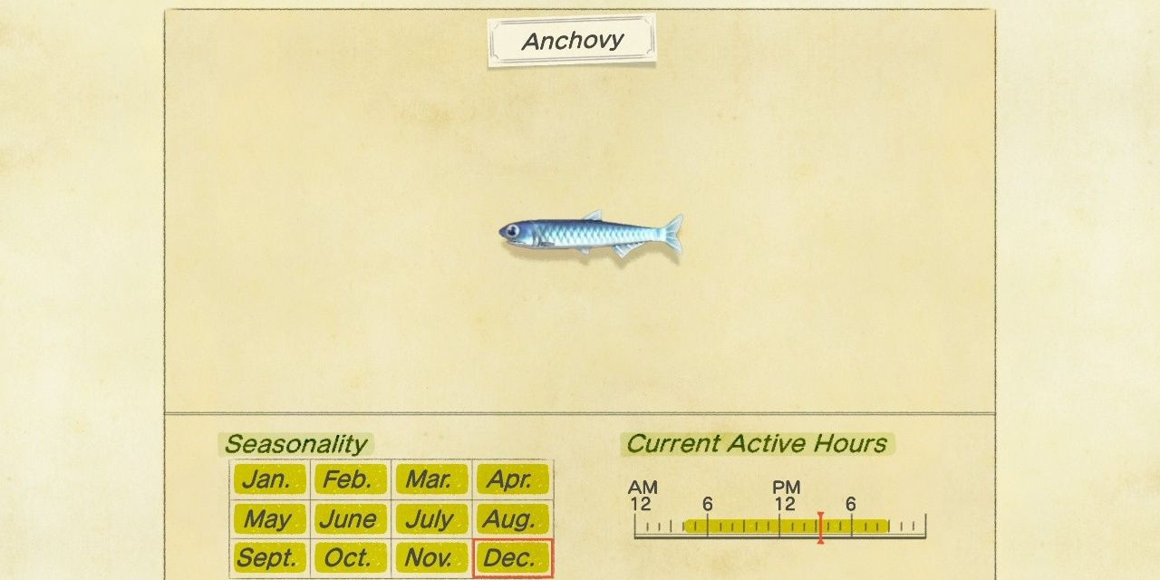 The gallery image of an anchovy in Animal Crossing: New Horizons.