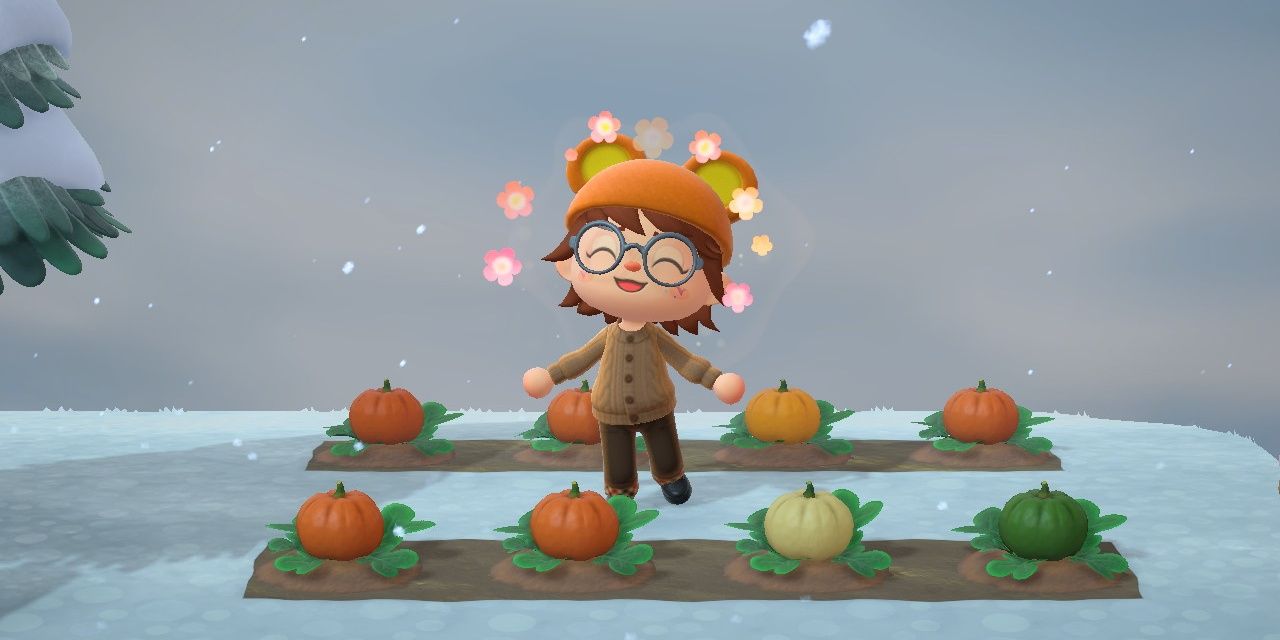 An Animal Crossing: New Horizons villager standing next to a small field of pumpkins.