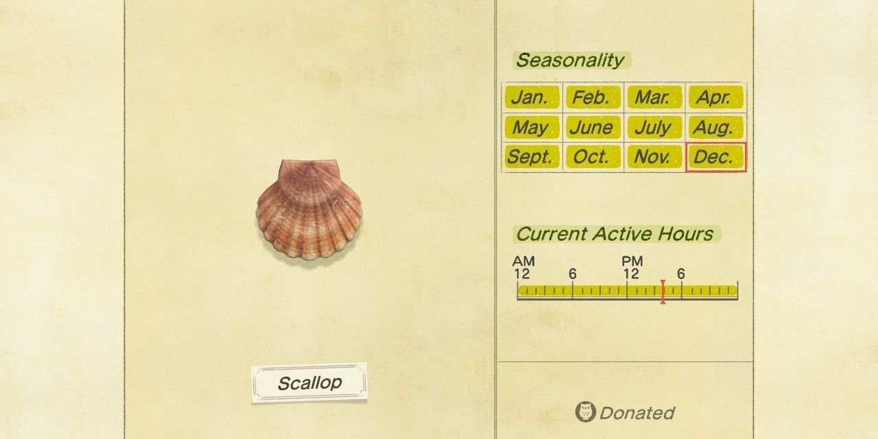 The gallery page for the scallop in Animal Crossing: New Horizons.