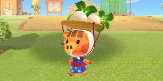 Daisy Mae from Animal Crossing: New Horizons.