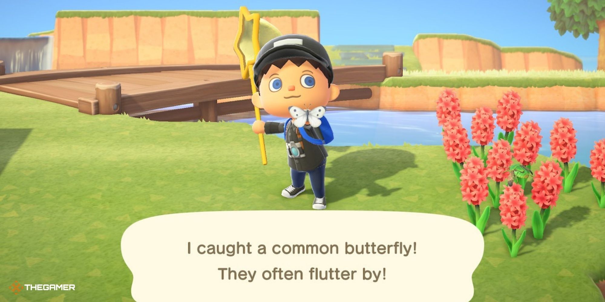 Animal Crossing New Horizons - player with common butterfly and net
