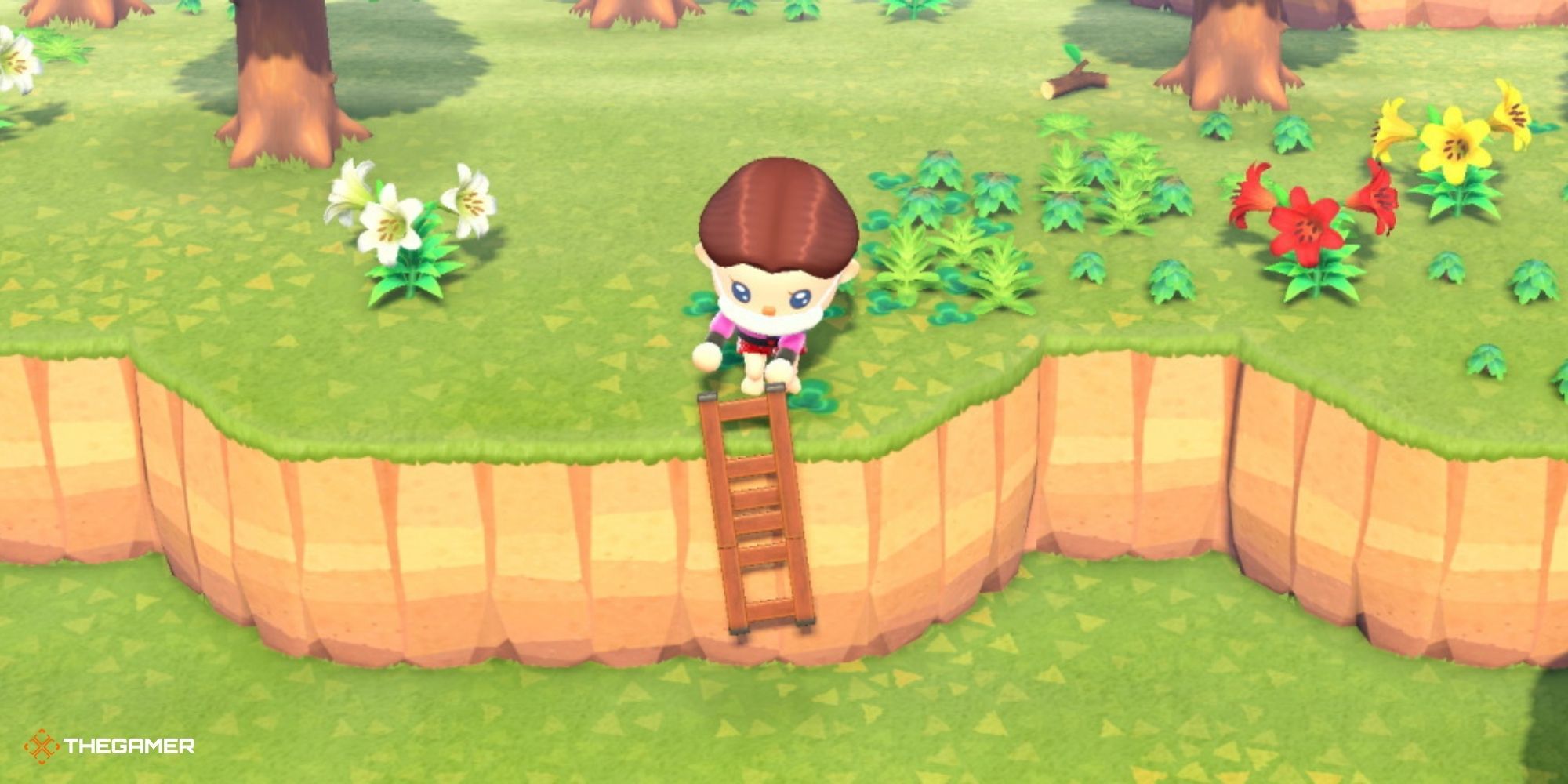 Animal Crossing New Horizons - player with ladder