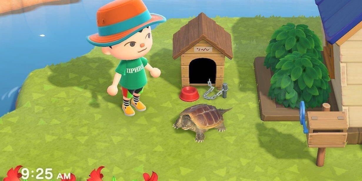 Animal Crossing New Horizons How to Catch the Reptilian Snapping Turtle (1)