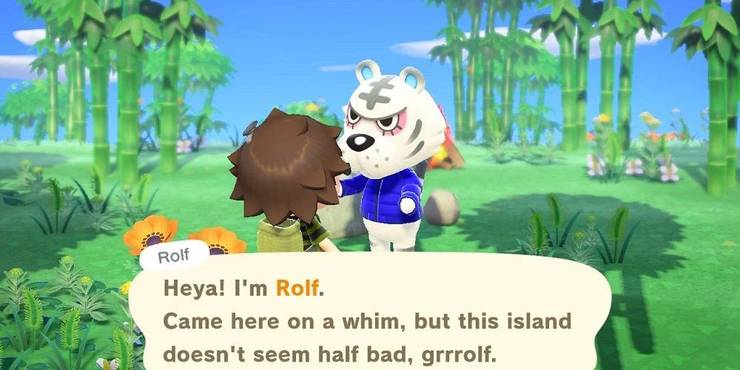 Animal Crossing player meets Rolf the Tiger