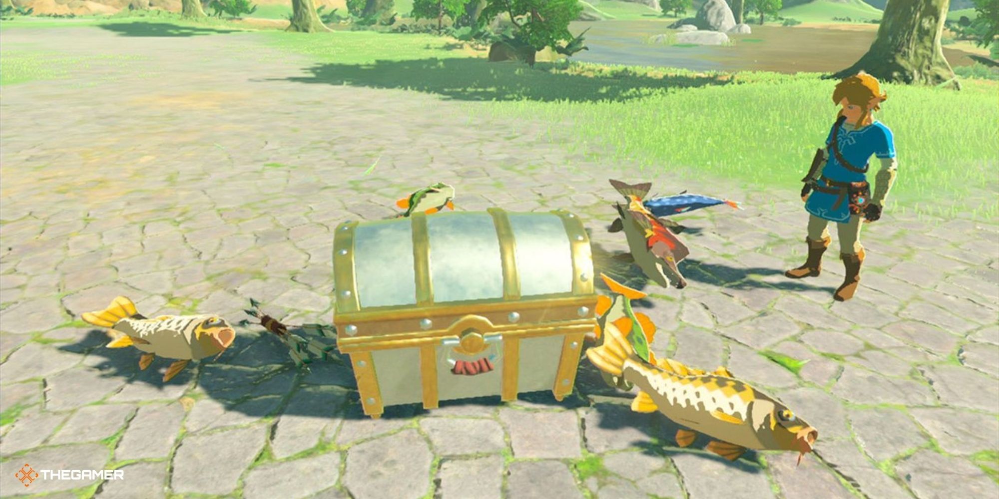Breath of the Wild - Link looking at a chest and a lot of fish