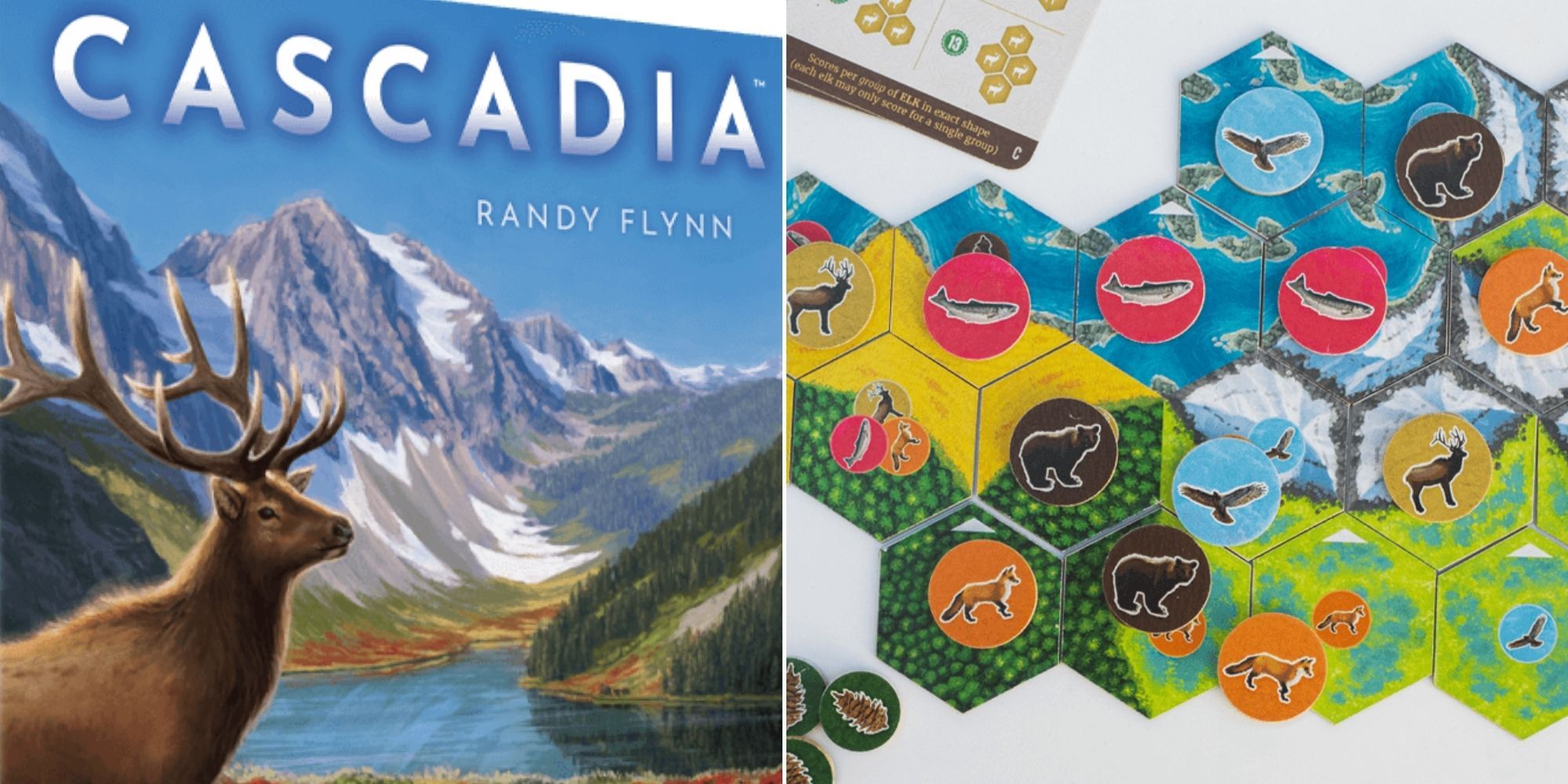 Cascadia - Board Game Box - A player's landscape being formed with various animals