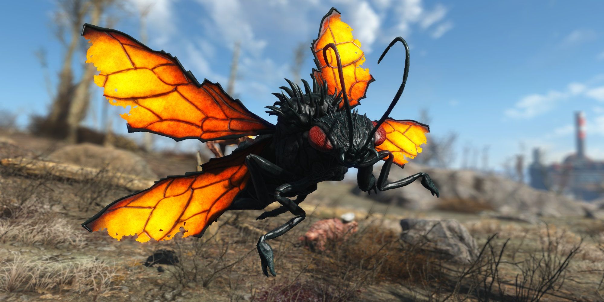 Cazador in Fallout