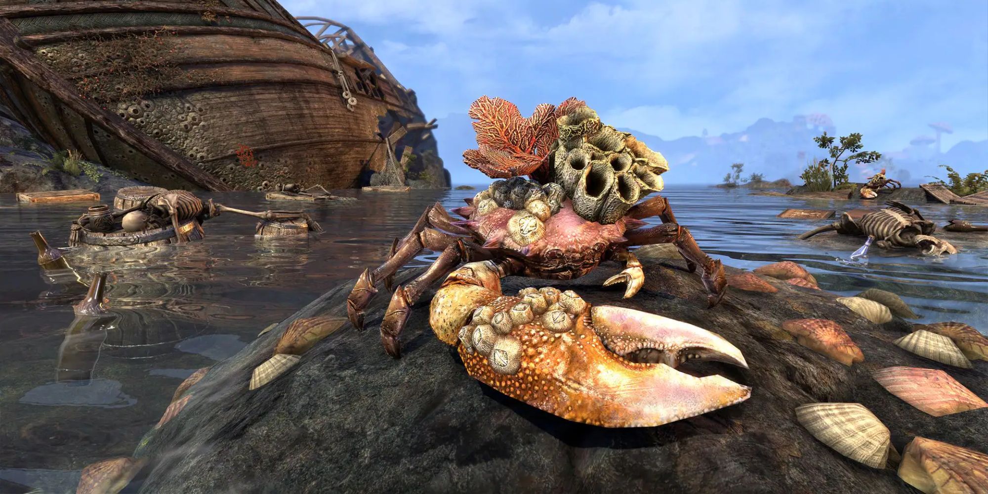 A Barnacle-Back Coral Crab pet from Elder Scrolls Online