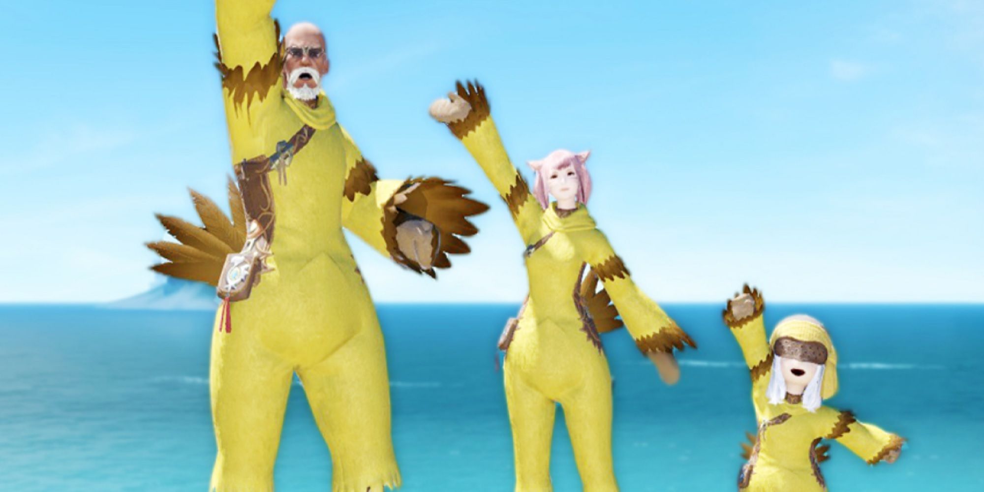 Final Fantasy 14 Chocobo Suit