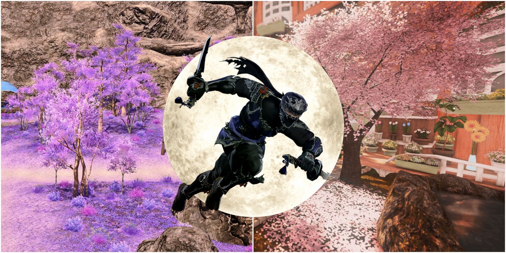 Featured Image for Final Fantasy 14: Complete Guide To Playing Ninja