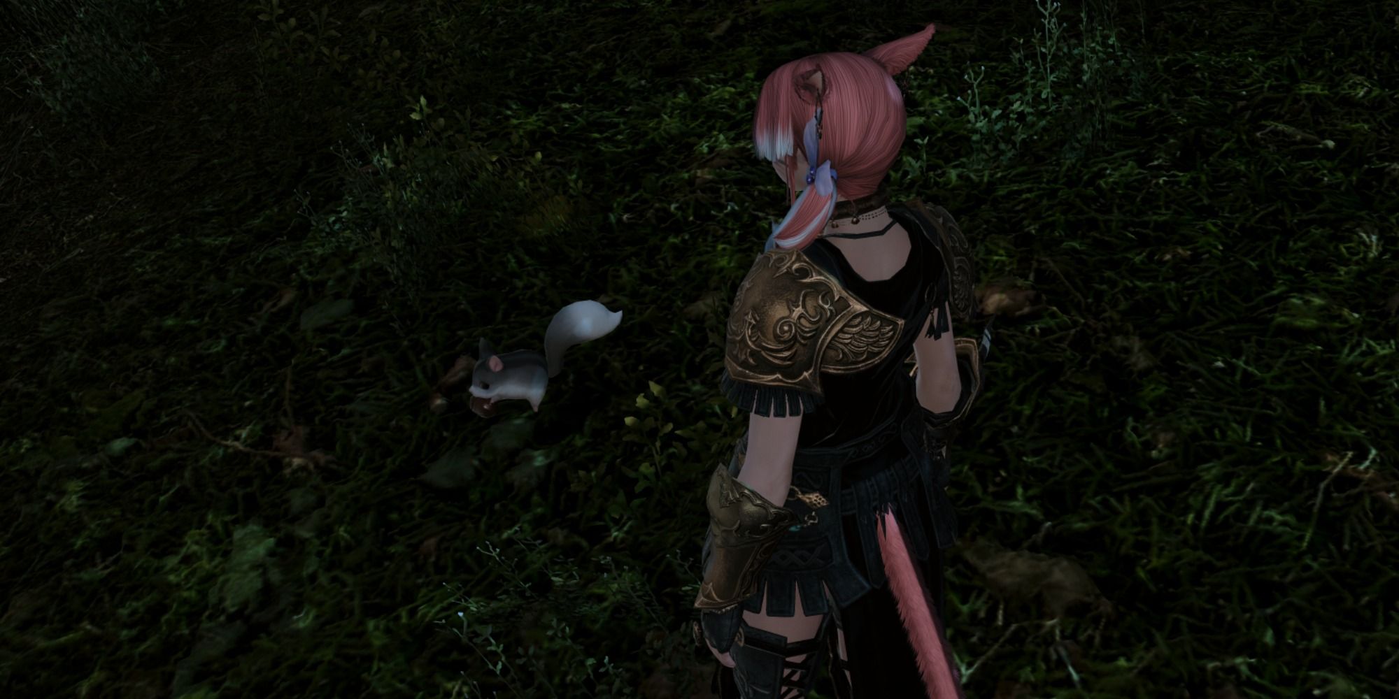 Nutkin in Final Fantasy 14: Endwalker