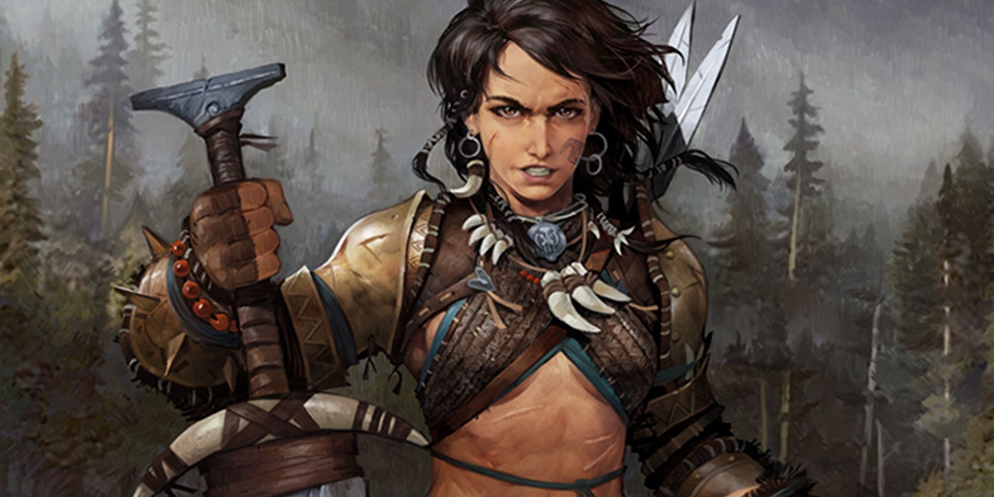 pathfinder: kingmaker character portrait