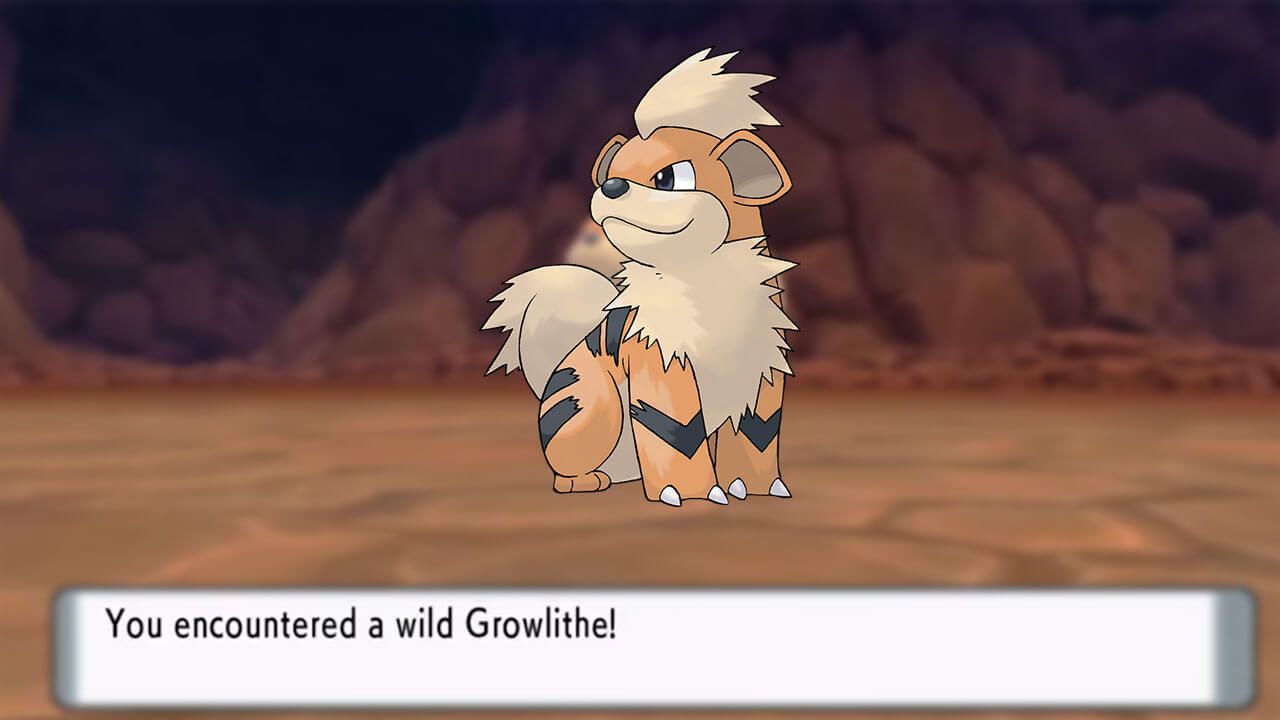 Growlithe 2