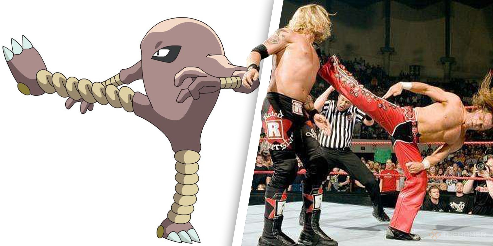 Heres 30 Wrestlers As Pokemon For The Royal Rumble (10)