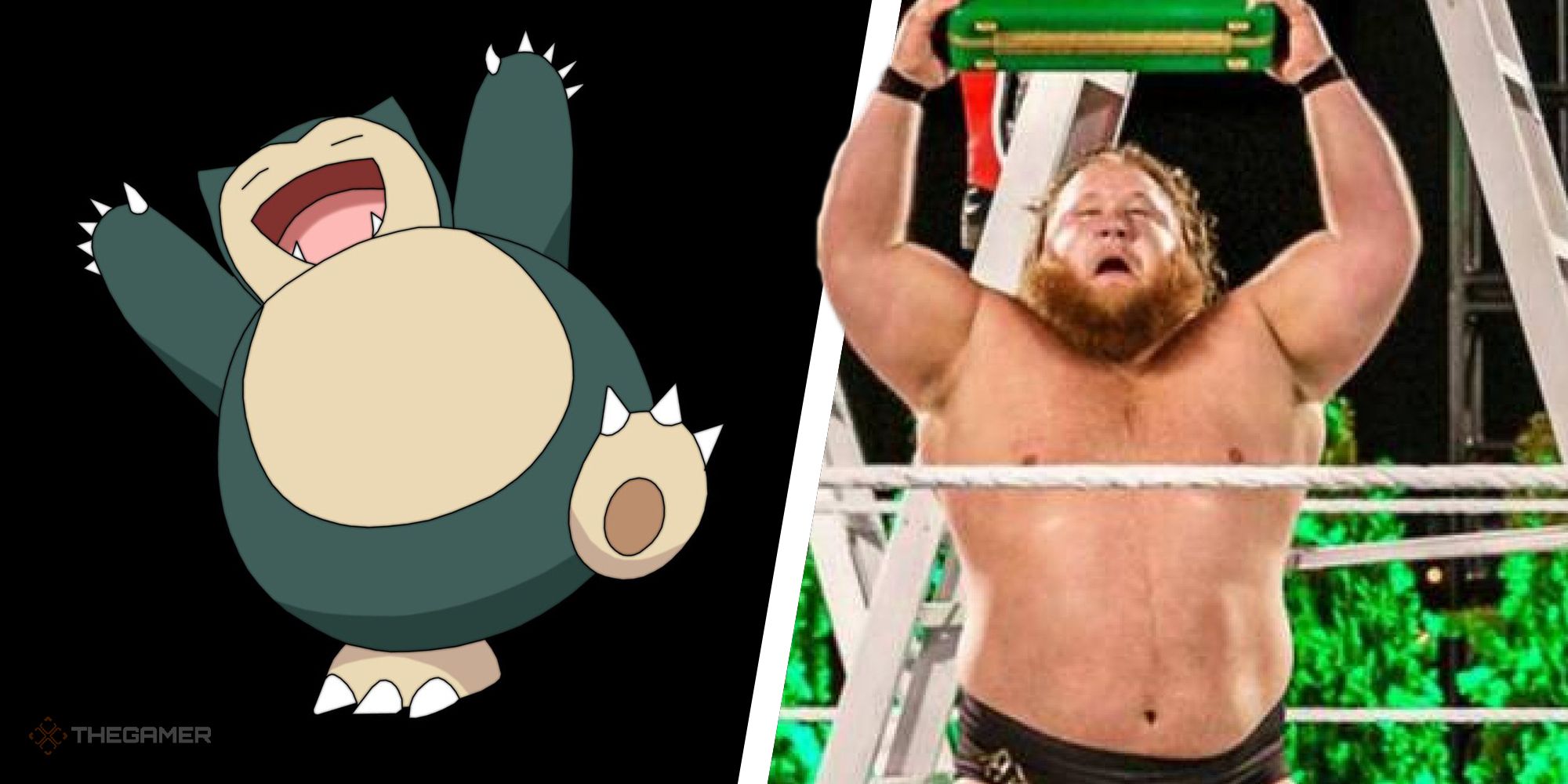 Heres 30 Wrestlers As Pokemon For The Royal Rumble (19)