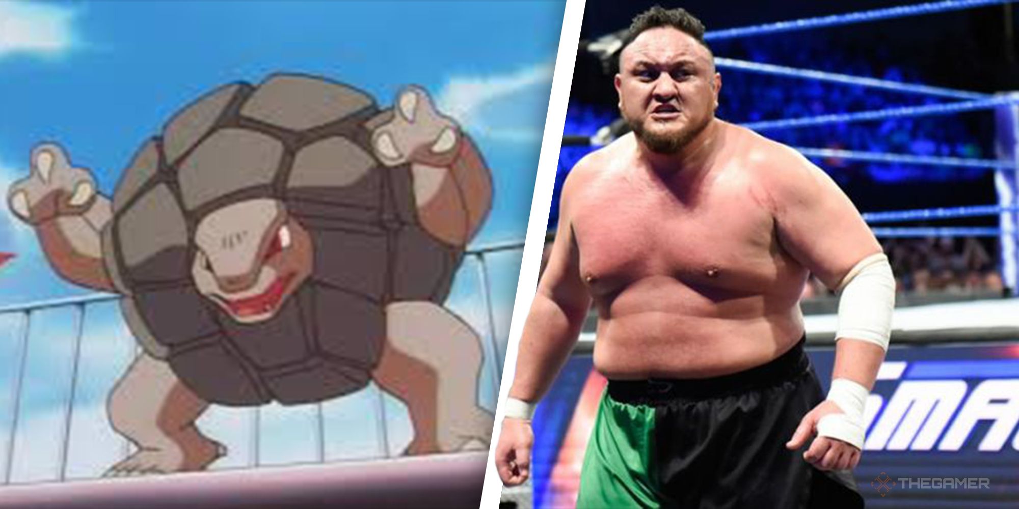 Heres 30 Wrestlers As Pokemon For The Royal Rumble (23)