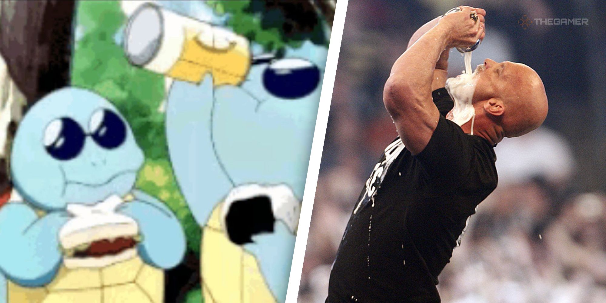Heres 30 Wrestlers As Pokemon For The Royal Rumble (25)
