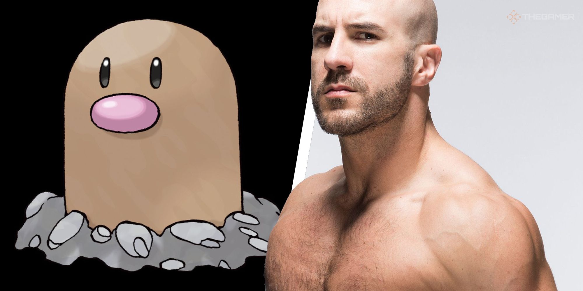 Heres 30 Wrestlers As Pokemon For The Royal Rumble (6)