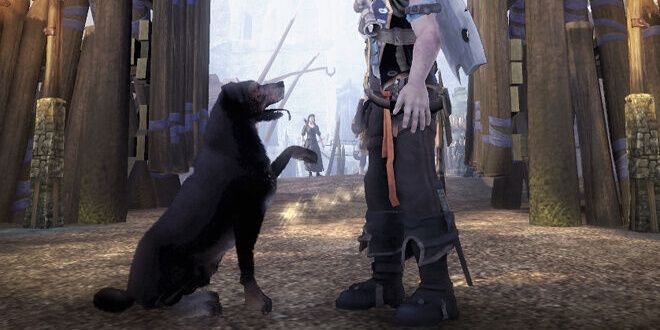 Hero_with_Dog giving paw