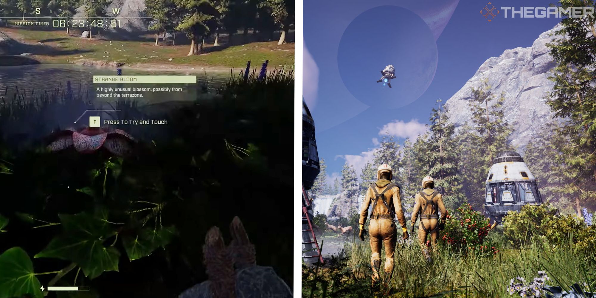 image of strange bloom next to image of players near dropship
