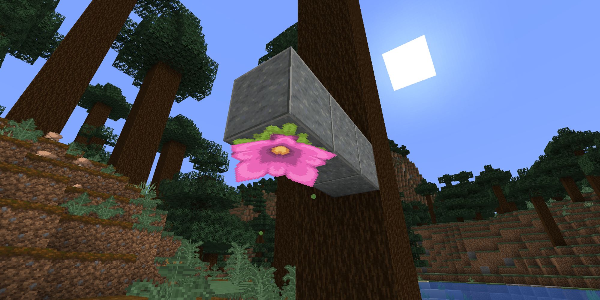 spore blossom hanging from andesite attached to tree