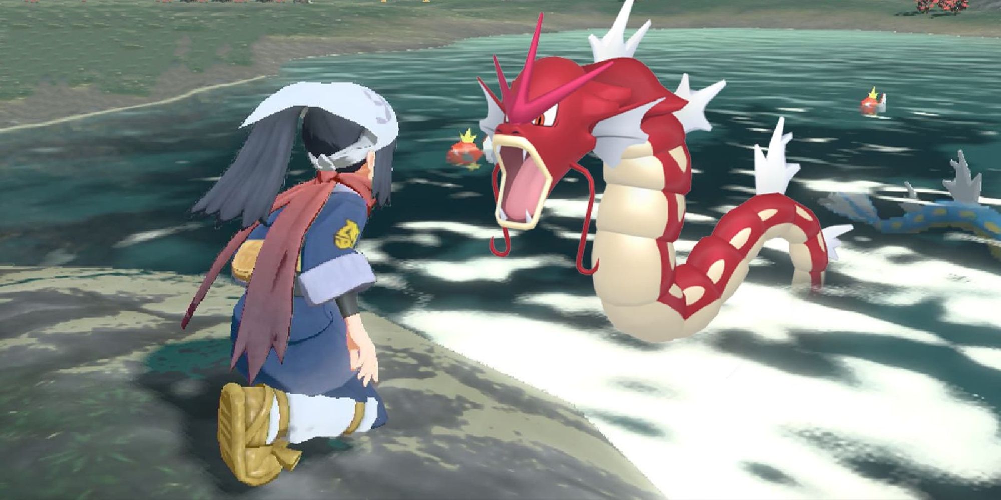 Anubis on X: Shiny hunters will enjoy Pokémon Legends: Arceus